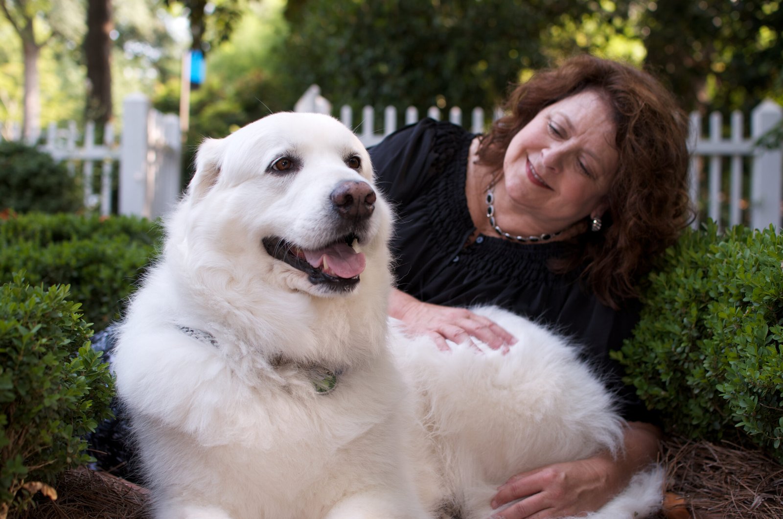 elaine bryan photo shoot, client